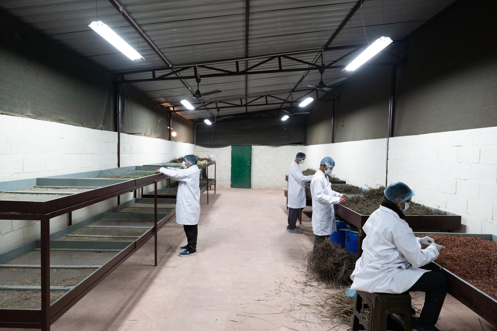 Herbal tea sorting hall in the factory wing
